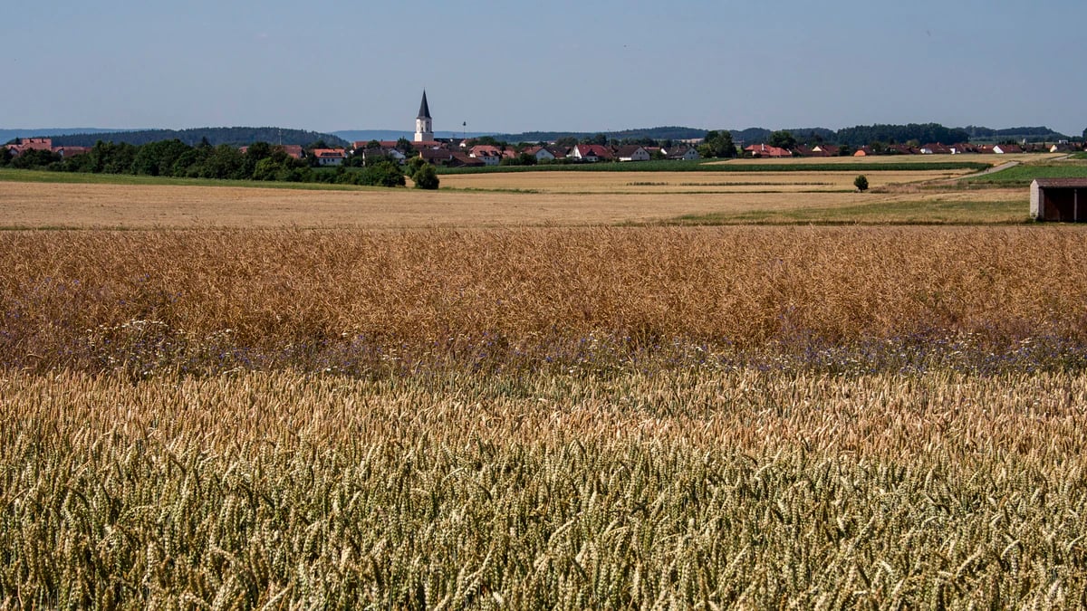 Ortsansicht von Berngau